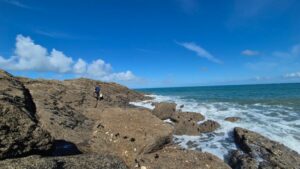 Pêche à pied à Cancale à marée basse