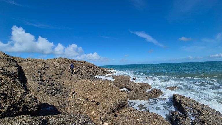 Lire la suite à propos de l’article La pêche à pied à Cancale : mode d’emploi pour débutants